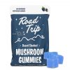 Road Trip Desert Stardust Mushroom Gummies – Blue Raspberry