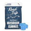 Road Trip Desert Stardust Mushroom Gummies – Rocket Pop