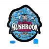 TRĒ House Extra Strength Magic Mushroom Blend Gummies 10CT – Blue Raspberry