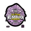 TRĒ House Extra Strength Magic Mushroom Blend Gummies 10CT – Sour Grape