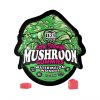 TRĒ House Extra Strength Magic Mushroom Blend Gummies 10CT – Watermelon Wonder