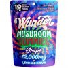Wunder High Potency Mushroom Gummies 12000MG – Grape