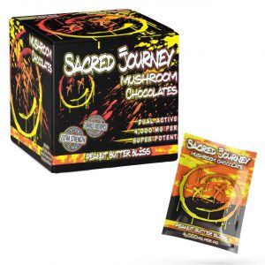 Sacred Journey Mushroom Chocolate 80000MG 1PK-20CT - Peanut Butter Bliss